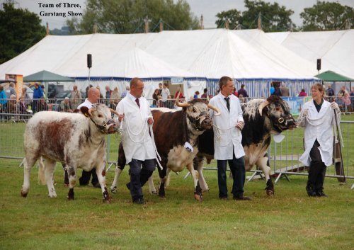 Newsletter No. 73 - Longhorn Cattle Society