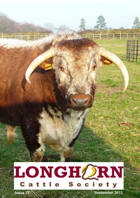 News 77 cover - Longhorn Cattle Society