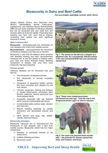 Biosecurity in Dairy and Beef Cattle - Longhorn Cattle Society