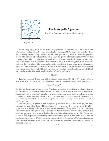 The Metropolis Algorithm - Peter N. Saeta