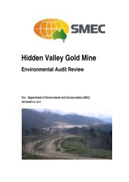 Hidden Valley Gold Mine Environmental Audit Review - Papua New ...