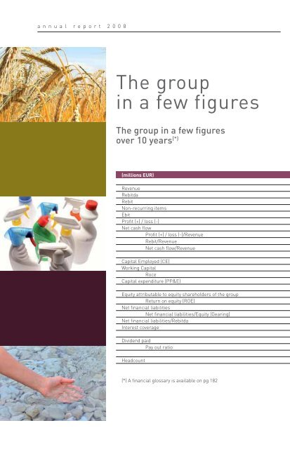 Annual Report 2008 English [PDF, 2.69 MB] - Tessenderlo Group