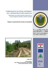 Projet d'Appui au Développement Local dans le Nord ... - ADELNORD