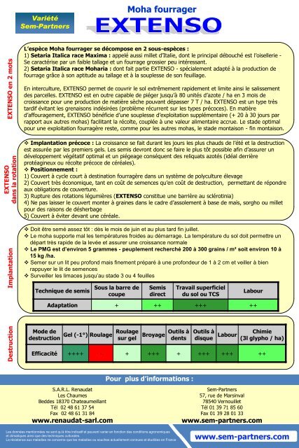 extenso - Sem-Partners