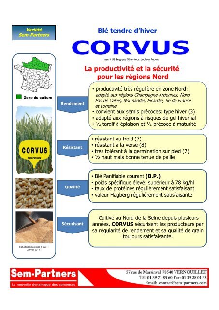 corvus - Sem-Partners