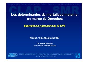 Los determinantes de mortalidad materna: un marco de ... - CINU