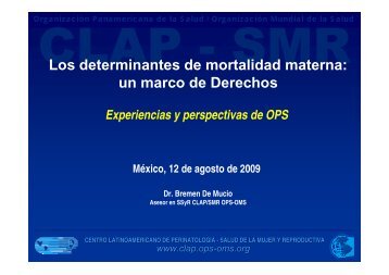 Los determinantes de mortalidad materna: un marco de ... - CINU