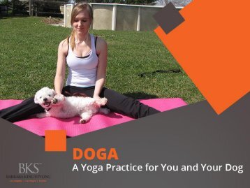 Doga Classes in Florida - Yoga Classes for You and Your Dog