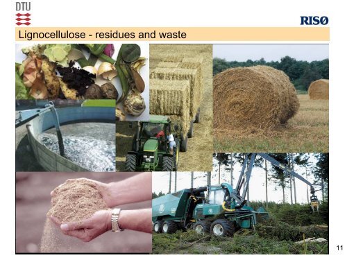 possible integration of biogas+bioethanol processing - bioenergybaltic