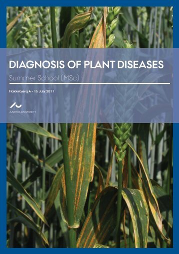 DIAGNOSIS OF PLANT DISEASES - NOVA University Network