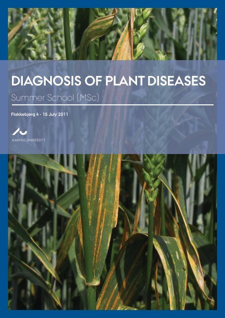 DIAGNOSIS OF PLANT DISEASES - NOVA University Network