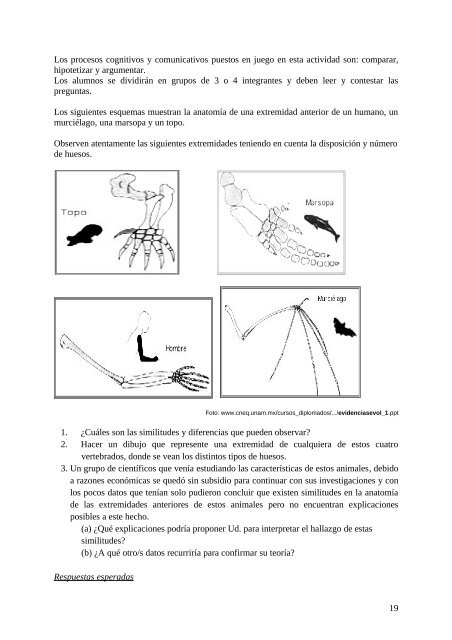 Download - Biblioteca Digital FCEN UBA - Universidad de Buenos ...