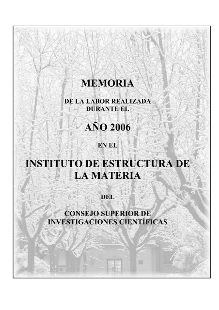 Memoria De 2006 Instituto De Estructura De La Materia Consejo