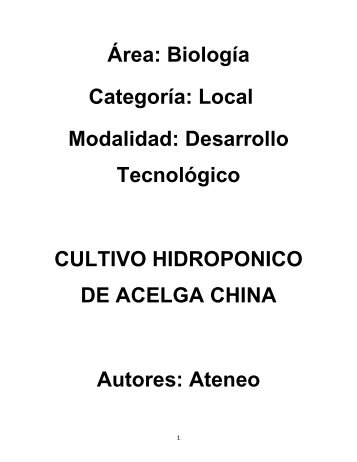 Cultivo hidropónico de acelga china - Feriadelasciencias.unam.mx