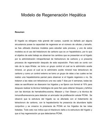 Modelo De Regeneración Hepática - Feriadelasciencias.unam.mx