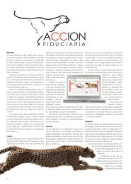 AcciÃ³n Fiduciaria - macrovision