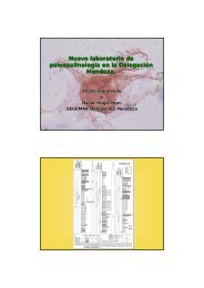 11 50 Sepulveda-Papu_Lab Palinologia.pdf - SEGEMAR