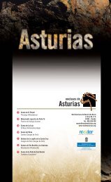 Asturias - caminos de arte rupestre prehistórico