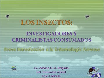 Los insectos:investigadores y criminalistas consumados.