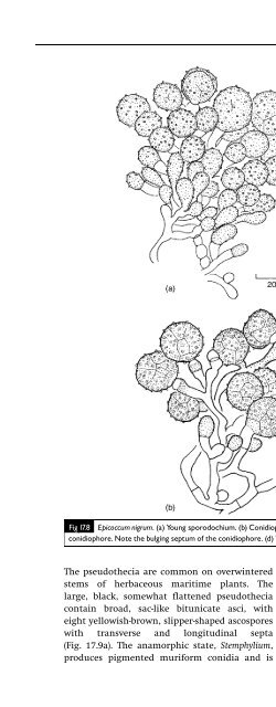 Introduction to Fungi, Third Edition