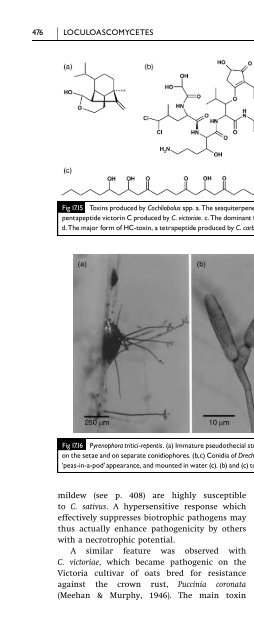 Introduction to Fungi, Third Edition