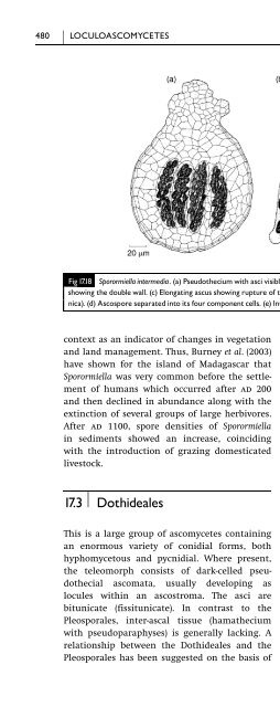 Introduction to Fungi, Third Edition