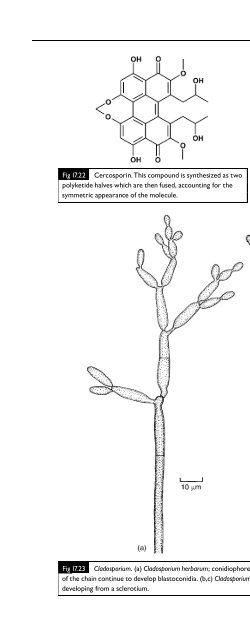 Introduction to Fungi, Third Edition