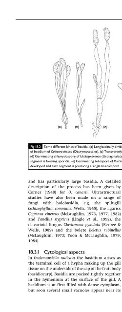 Introduction to Fungi, Third Edition