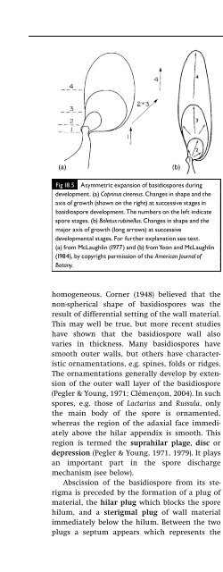 Introduction to Fungi, Third Edition