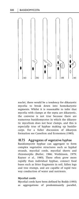 Introduction to Fungi, Third Edition