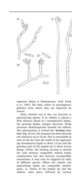 Introduction to Fungi, Third Edition