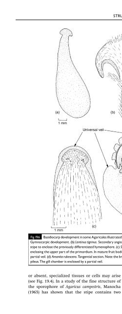 Introduction to Fungi, Third Edition