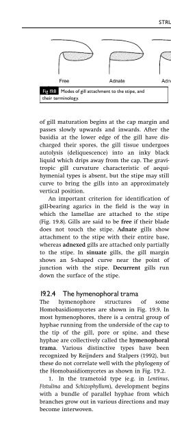 Introduction to Fungi, Third Edition