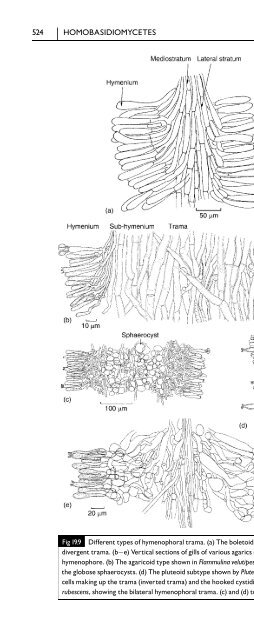 Introduction to Fungi, Third Edition