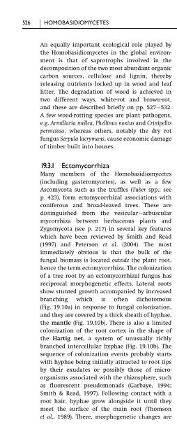 Introduction to Fungi, Third Edition