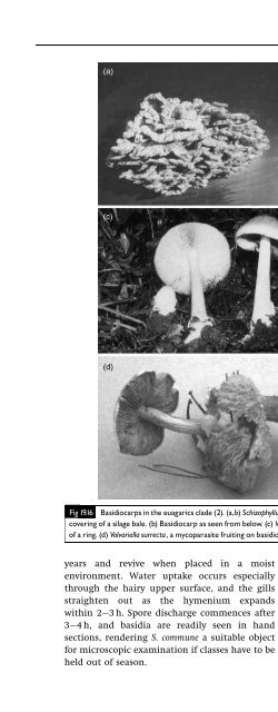 Introduction to Fungi, Third Edition