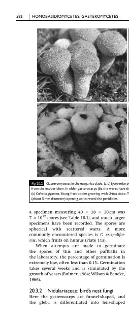 Introduction to Fungi, Third Edition