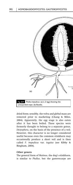 Introduction to Fungi, Third Edition