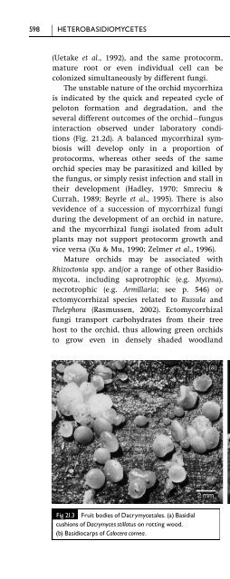 Introduction to Fungi, Third Edition