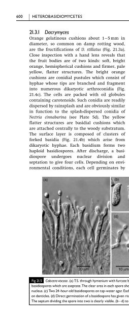 Introduction to Fungi, Third Edition