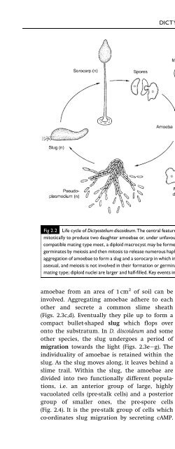 Introduction to Fungi, Third Edition