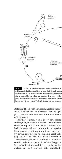 Introduction to Fungi, Third Edition