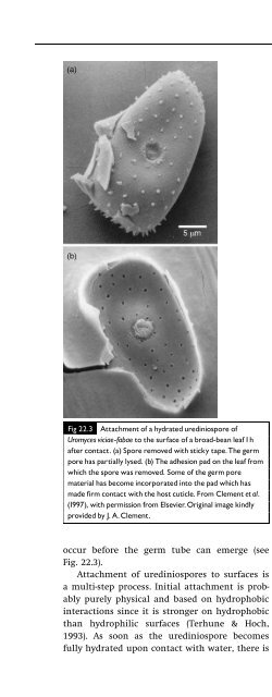 Introduction to Fungi, Third Edition