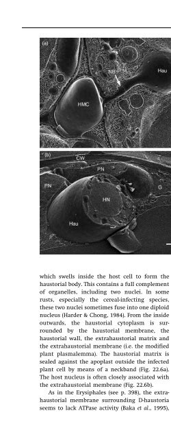 Introduction to Fungi, Third Edition