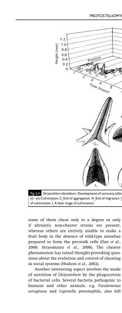 Introduction to Fungi, Third Edition