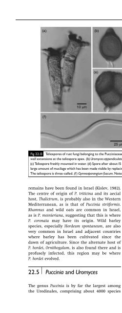 Introduction to Fungi, Third Edition