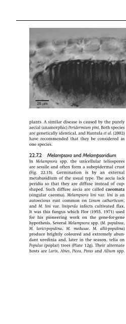 Introduction to Fungi, Third Edition