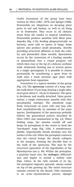 Introduction to Fungi, Third Edition