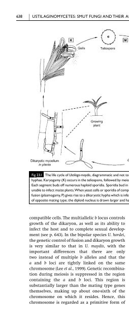 Introduction to Fungi, Third Edition