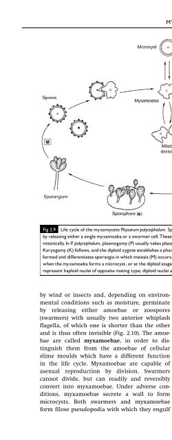 Introduction to Fungi, Third Edition